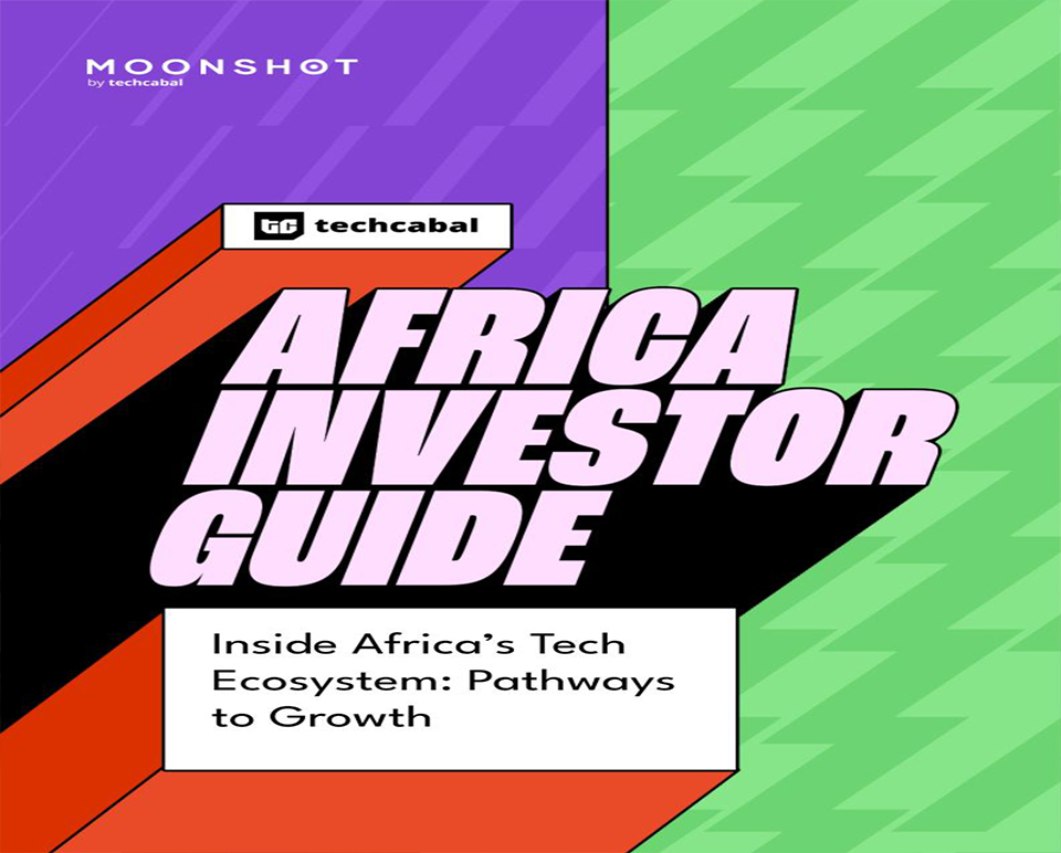 Africa Investor Guide